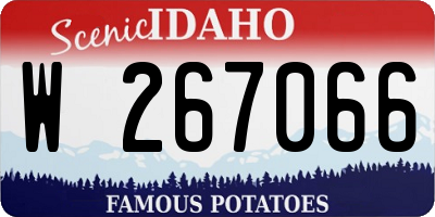 ID license plate W267066