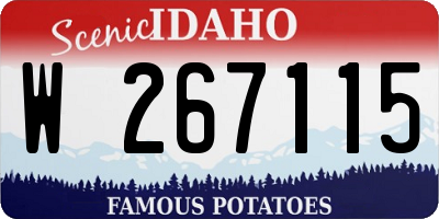 ID license plate W267115