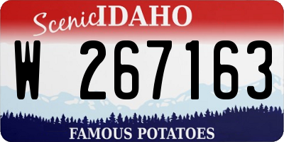 ID license plate W267163