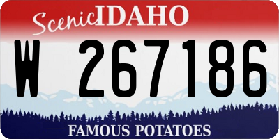 ID license plate W267186