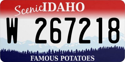 ID license plate W267218