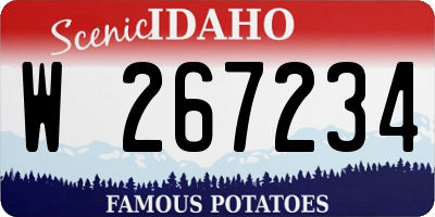 ID license plate W267234