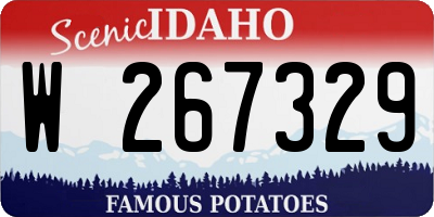 ID license plate W267329