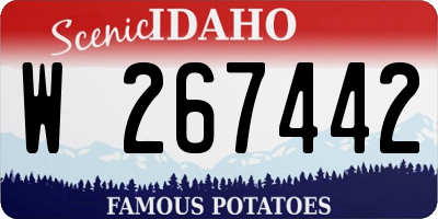 ID license plate W267442