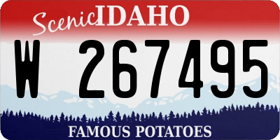 ID license plate W267495