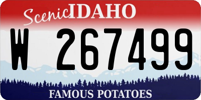 ID license plate W267499