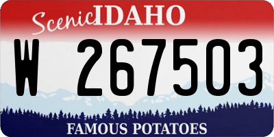 ID license plate W267503
