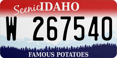 ID license plate W267540