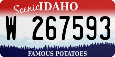 ID license plate W267593