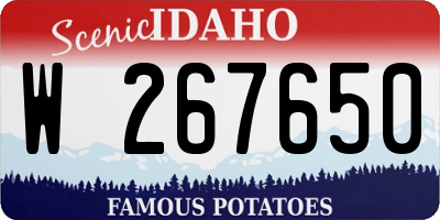 ID license plate W267650