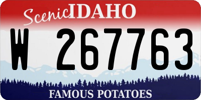 ID license plate W267763