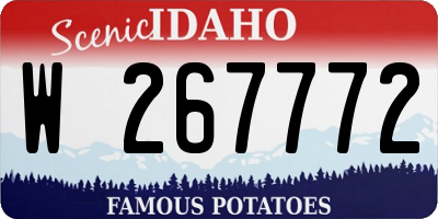 ID license plate W267772
