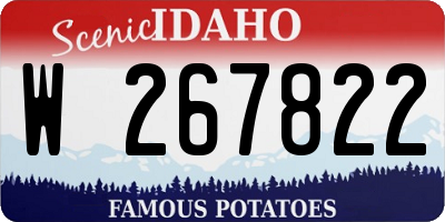 ID license plate W267822