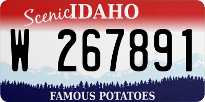 ID license plate W267891
