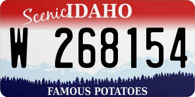 ID license plate W268154