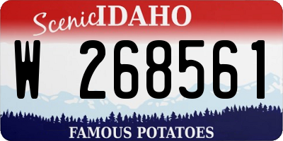 ID license plate W268561
