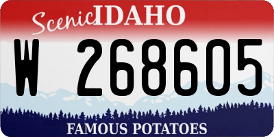 ID license plate W268605