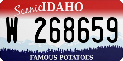 ID license plate W268659