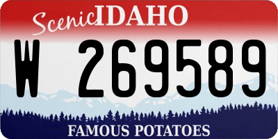 ID license plate W269589