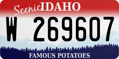ID license plate W269607
