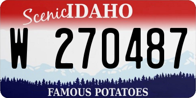 ID license plate W270487