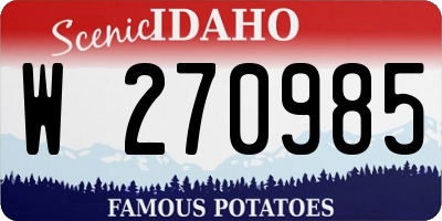 ID license plate W270985