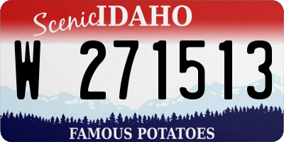 ID license plate W271513