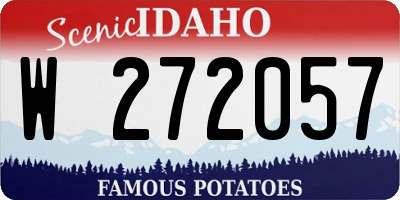 ID license plate W272057