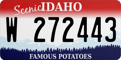 ID license plate W272443