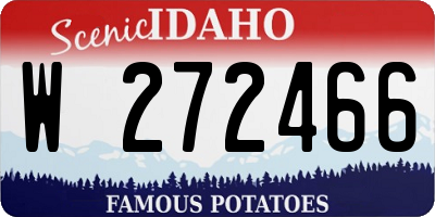 ID license plate W272466