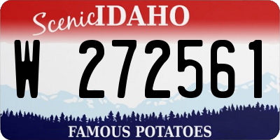 ID license plate W272561