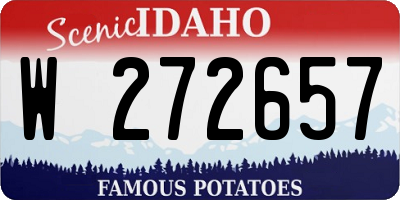 ID license plate W272657