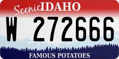 ID license plate W272666