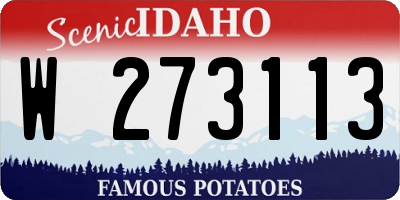 ID license plate W273113