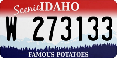 ID license plate W273133