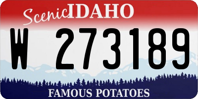 ID license plate W273189