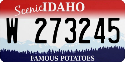 ID license plate W273245