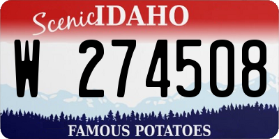 ID license plate W274508