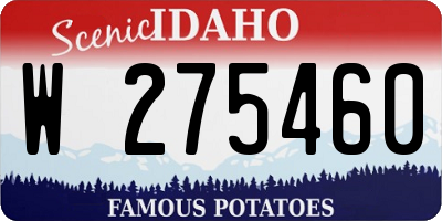 ID license plate W275460