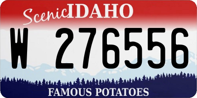 ID license plate W276556