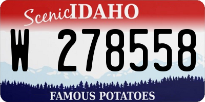ID license plate W278558