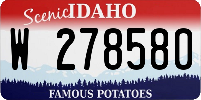 ID license plate W278580
