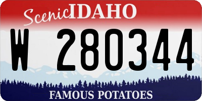 ID license plate W280344