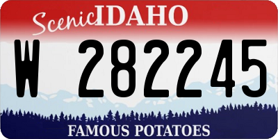 ID license plate W282245