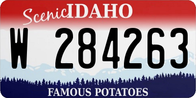 ID license plate W284263