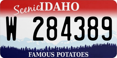 ID license plate W284389