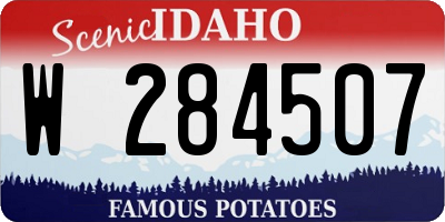 ID license plate W284507
