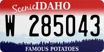 ID license plate W285043