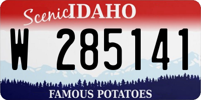 ID license plate W285141