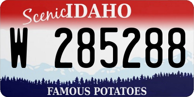ID license plate W285288